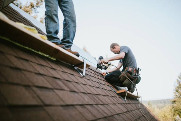 Best Metal Roofing Contractor  in Grandy, NC