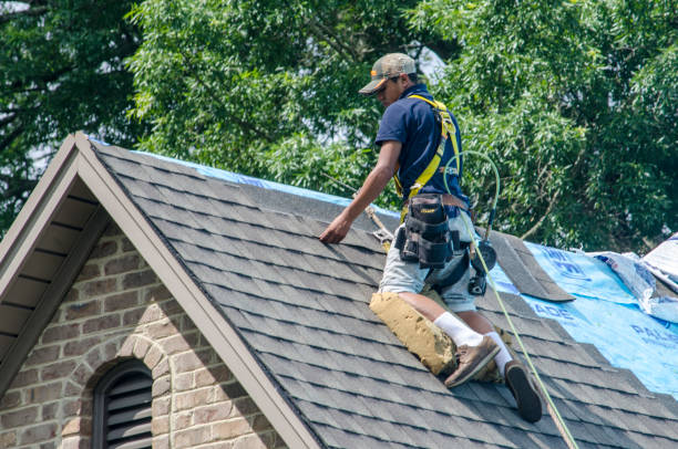 Best Emergency Roof Repair  in Grandy, NC